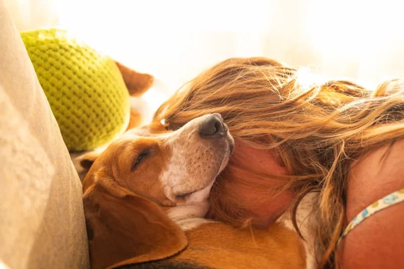 Hund kuschelt mit seiner Besitzerin